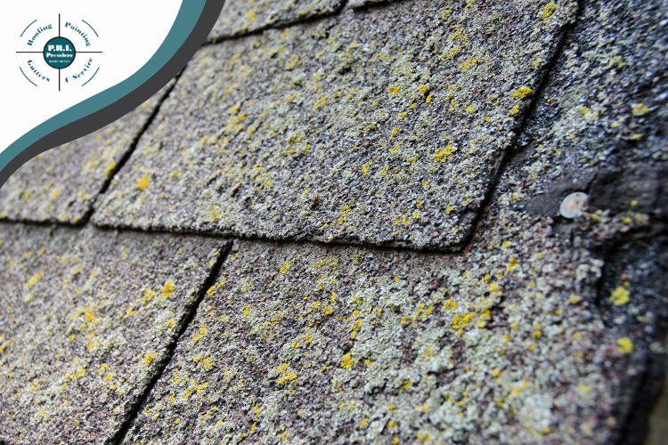 san ramon roofer