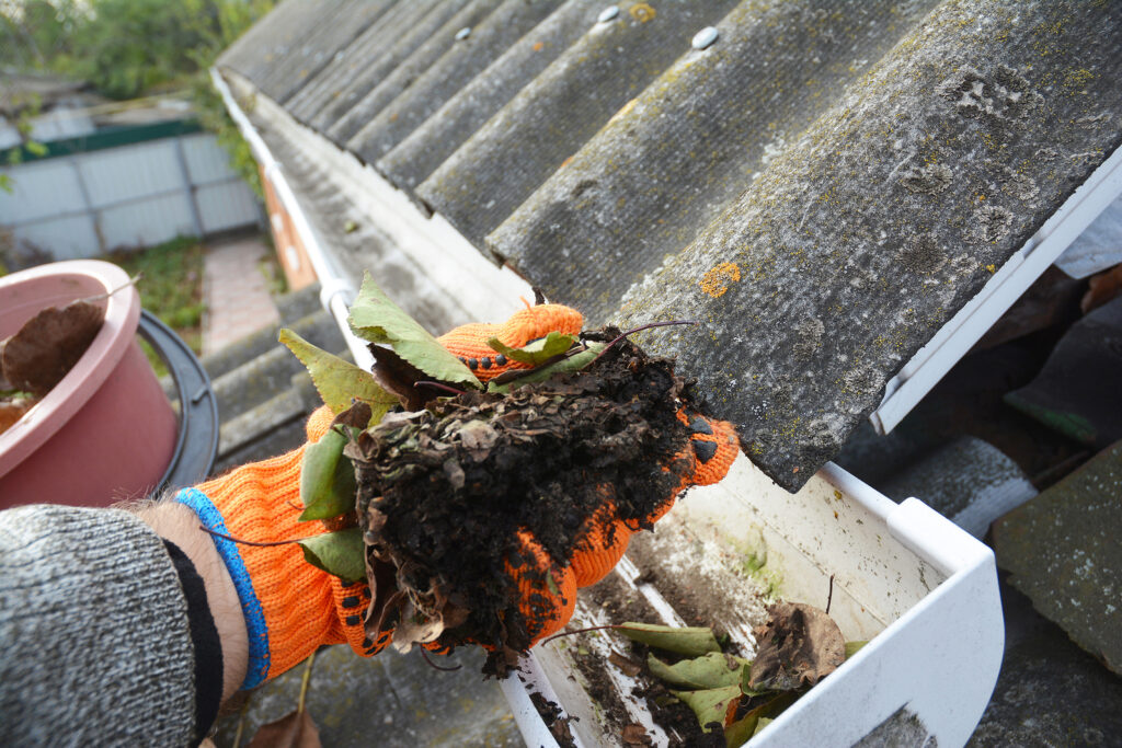 San Ramon Roofer Offers 3 Fall Roof Care Tips