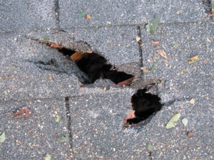 San Ramon homeowner inspecting a roof leak, prepared to take swift action for repairs.