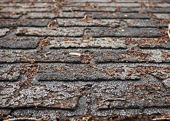 PRI-Premiere Roofing Inc. Images